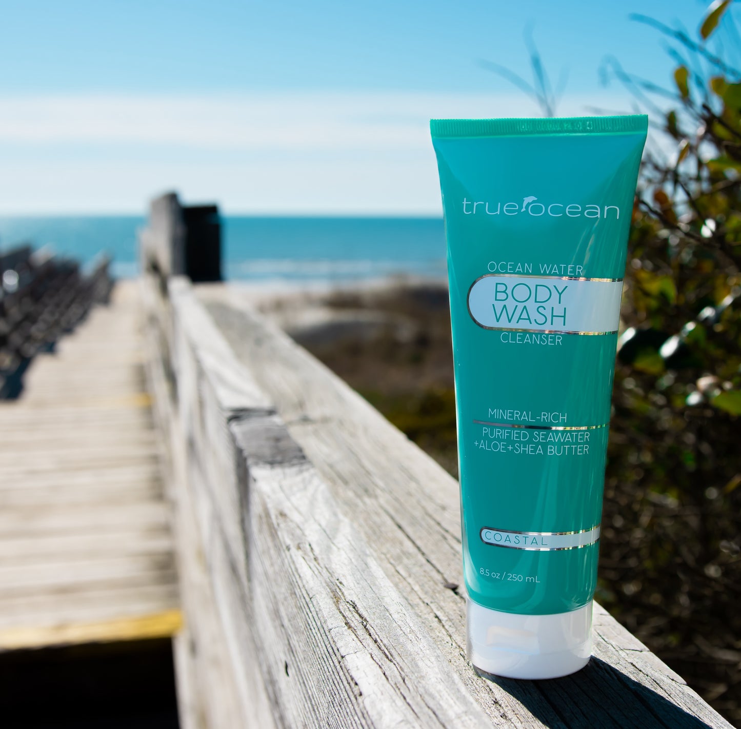 True Ocean Body Wash - 8.5oz (WS)