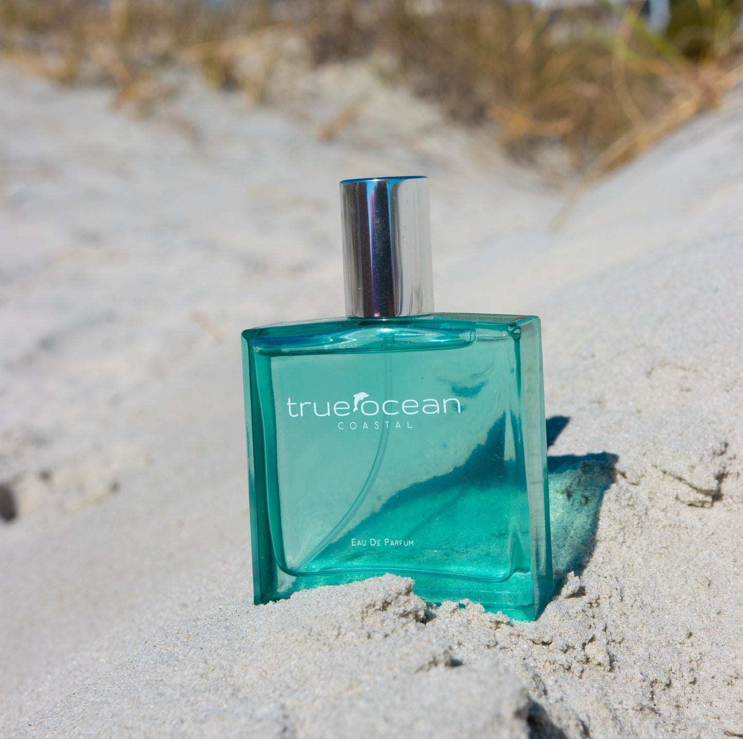 True Ocean Coastal - Eau de Parfum sampler card (2ml) - Pack of 20 (WS)