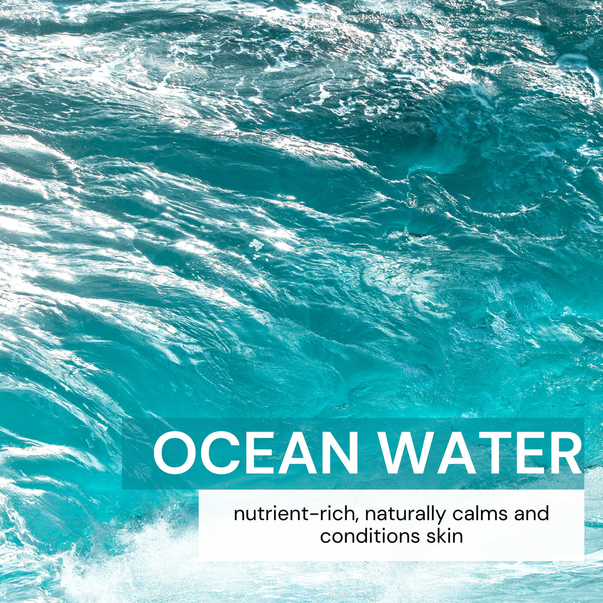 Mineral Lotion – True Ocean
