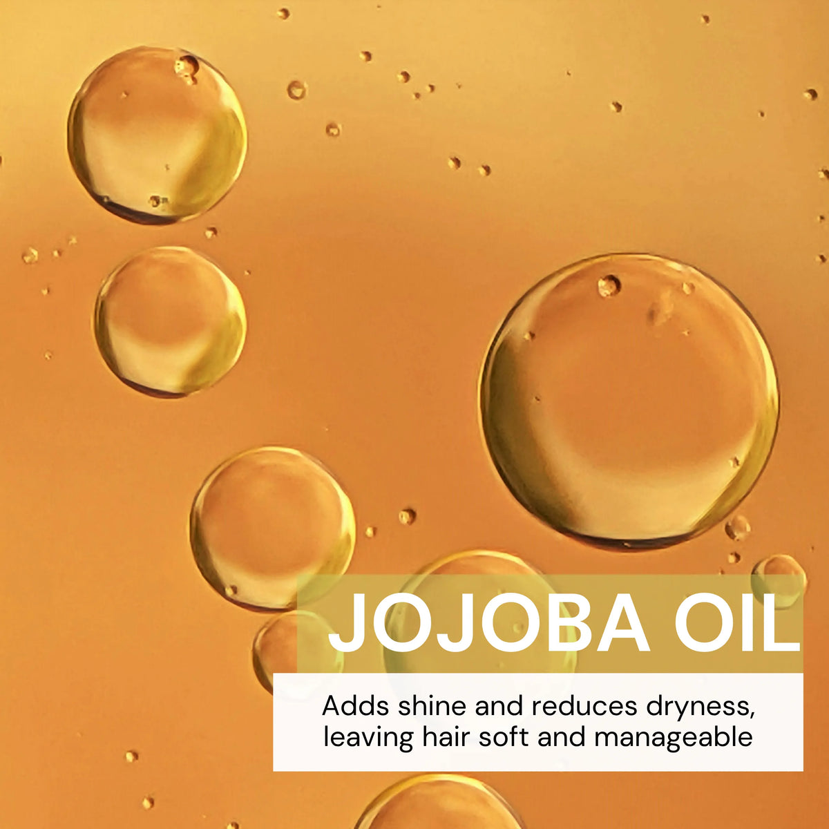 Conditioner